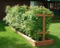 a wooden garden planter filled with lots of green plants next to a brown house