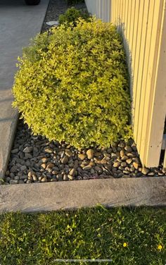 a yellow fence and some rocks in front of a white picket post on the grass