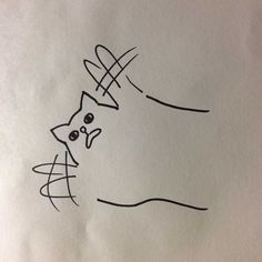 a drawing of a cat with a crown on it's head and lines in the background