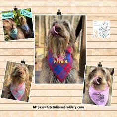 four pictures of dogs wearing bandanas and bibs with the name patrol on them