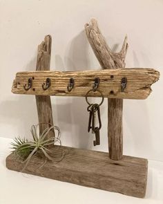 a wooden shelf with key hooks and air plant on the top is made out of driftwood