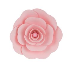 a large pink flower on a white background