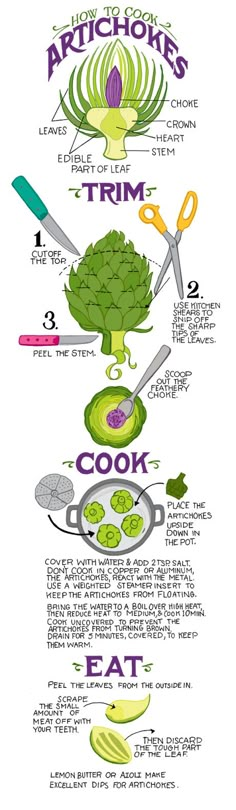 the artichoke's guide to trim broccoli and how to cut them