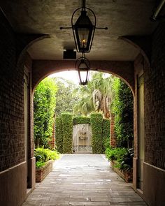 an archway leading into a lush green garden