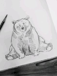 Brown Bear Sketch, Bear Sketch Cute, Fun Animals To Draw, Bear Sketch Drawing, Drawing Ideas Animals Sketches Pencil, Detailed Animal Drawings, Sketch Book Animals, How To Draw A Animal, Bear Sketch Simple