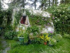 an old trailer covered in vines and flowers is surrounded by potted plants on the grass