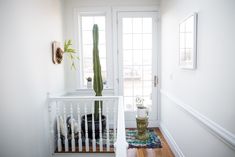 a cactus in a pot on the side of a white wall next to a door