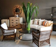 a living room filled with furniture and a large plant in the middle of the room