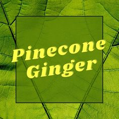 a green leaf with the words pinecone ginger on it's bottom corner