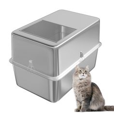 a cat sitting in front of a plastic container