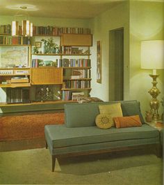 a living room filled with furniture and bookshelves next to a fire hydrant