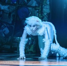 a white cat is standing on its hind legs in the middle of a stage performance