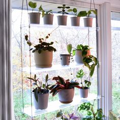 a window sill filled with lots of potted plants