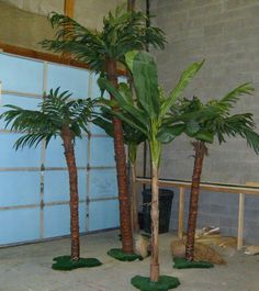 three palm trees sitting in the middle of a room next to a blue wall and door