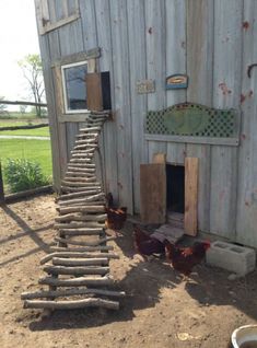 some chickens are standing in front of a building with a ladder leading to the door