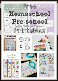 the homeschool pre - school printables are great for kids to use