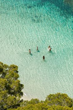 three people are swimming in the clear blue water near some trees and sand on the beach