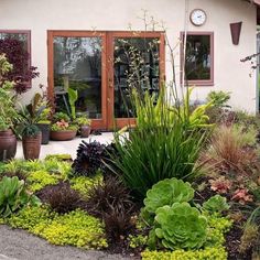 a house with lots of plants in front of it