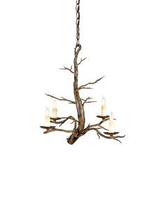 a chandelier with five lights hanging from it's center tree branch design