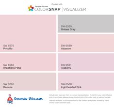 the color scheme for colorsnap visualizer is shown in pink, gray and white