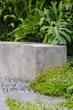 there is a large cement block in the middle of some plants and rocks on the ground