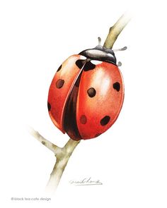 a watercolor painting of a ladybug on a tree branch