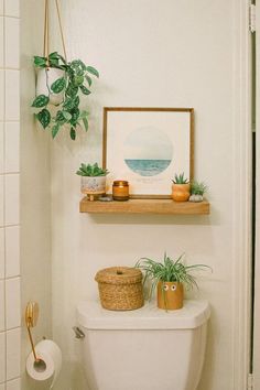 a white toilet sitting next to a wooden shelf filled with potted plants on top of it