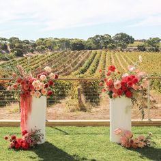 two white vases with red and pink flowers on them sitting in the grass near a vineyard