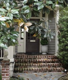 the front door of a house with steps leading up to it and potted plants on either side