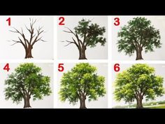 how to draw a tree with colored pencils step by step instructions for beginners