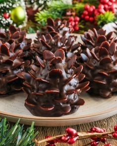 chocolate covered pine cones are on a plate