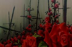 red roses are growing in front of a wall with crosses on it and branches behind them