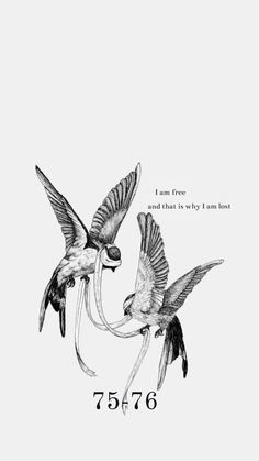 two birds flying next to each other on a white background with the words, i am free and that is why i am not