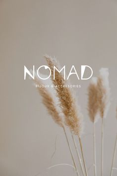 the words nomad are displayed in front of some dry grass sticks and flowers on a white background