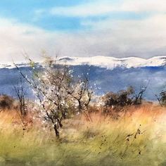 a painting of mountains in the distance with trees and grass on the foreground, watercolor