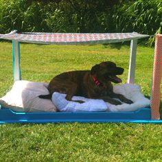 a dog laying on top of a bed in the grass