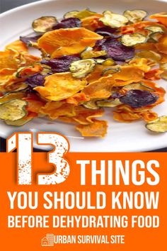 a white plate topped with sliced vegetables and text that reads 13 things you should know before dehydrating food