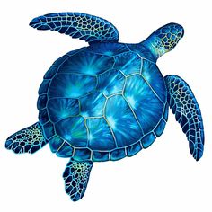 a drawing of a blue sea turtle