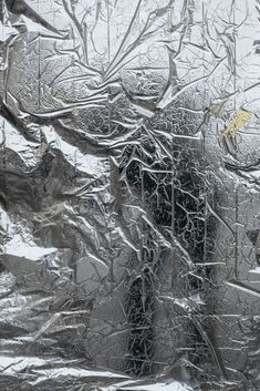 an image of the outside of a window covered in tin foil with trees on it