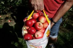 a man holding a bag full of red apples