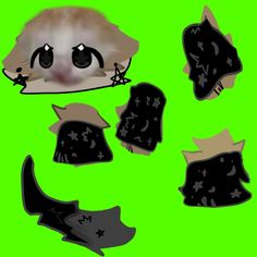 an animated image of a cat's head with various haircuts on it