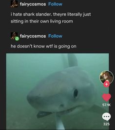 the shark is smiling at someone in the water