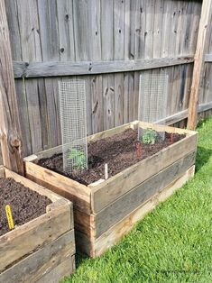 three wooden raised garden beds with plants in them