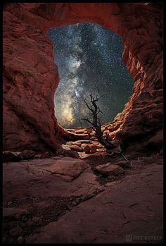 the milky is shining brightly in the sky above some rocks and trees, with a tree growing out of it