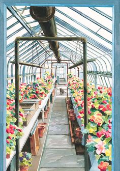 the inside of a greenhouse filled with potted plants