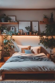 a bed with plants and pictures on the wall above it in a room that is lit up