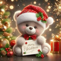 a teddy bear holding a merry christmas sign