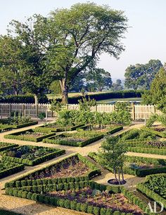 a garden with many different types of plants and trees in the center, surrounded by hedges