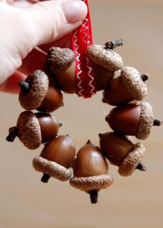 a person is holding up some acorns on a string with a red ribbon