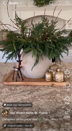 a potted plant sitting on top of a wooden tray